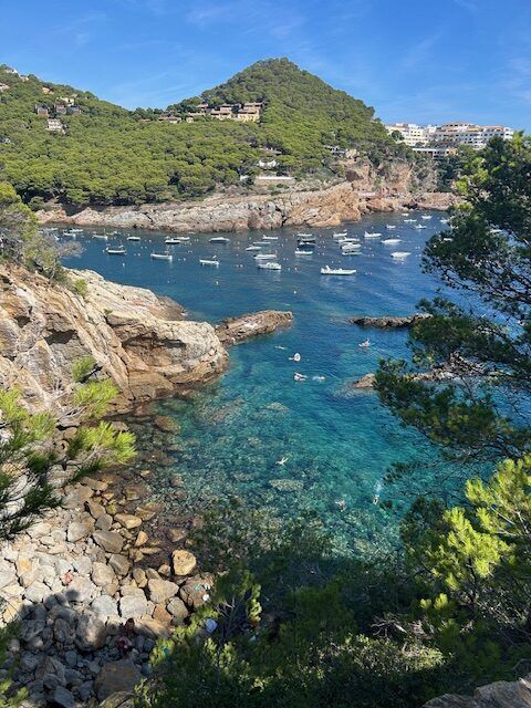 Op vakantie met een beperking? Het kán – en het mag ontspannen zijn! 🌞🌍