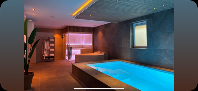 Het privézwembad met sauna in de wellnessruimte bij Resort Valley